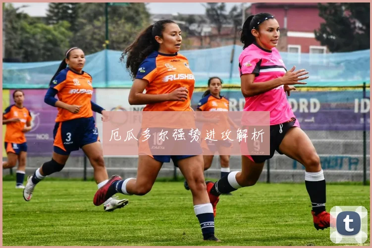 厄瓜多尔强势进攻解析