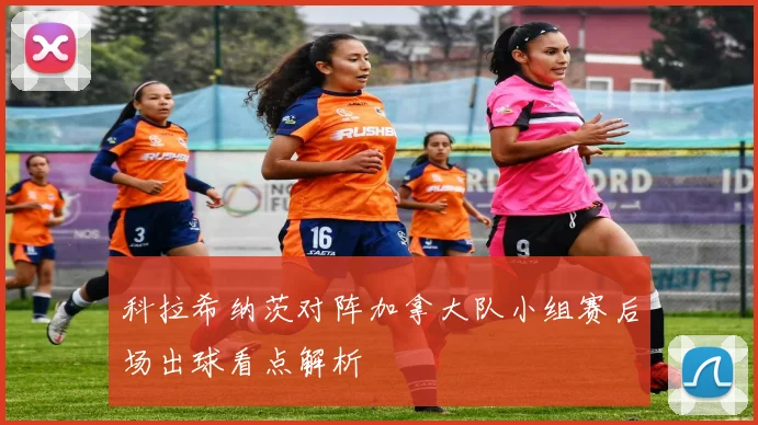 科拉希纳茨对阵加拿大队小组赛后场出球看点解析