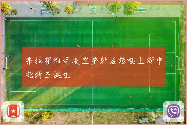 弗拉霍维奇凌空垫射后怒吼上海申花新王诞生