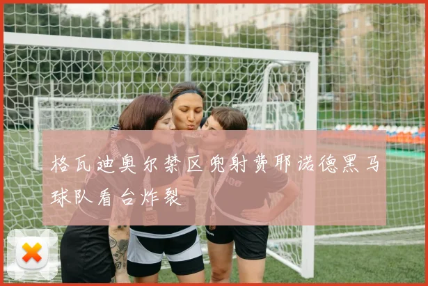 格瓦迪奥尔禁区兜射费耶诺德黑马球队看台炸裂
