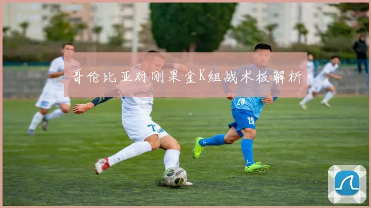 哥伦比亚对刚果金K组战术板解析