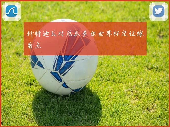 科特迪瓦对厄瓜多尔世界杯定位球看点